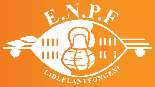 Excluding civil servants from ENPF is a mistake